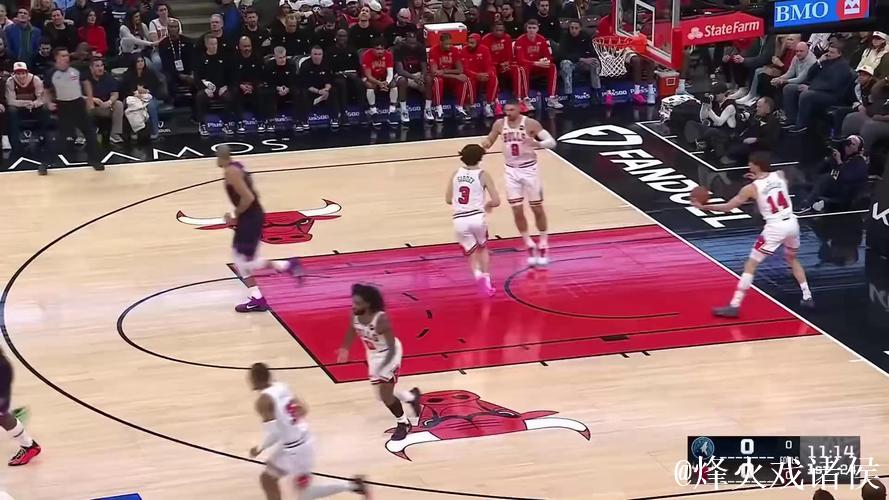 里德33+7 森林狼客场大胜公牛35分